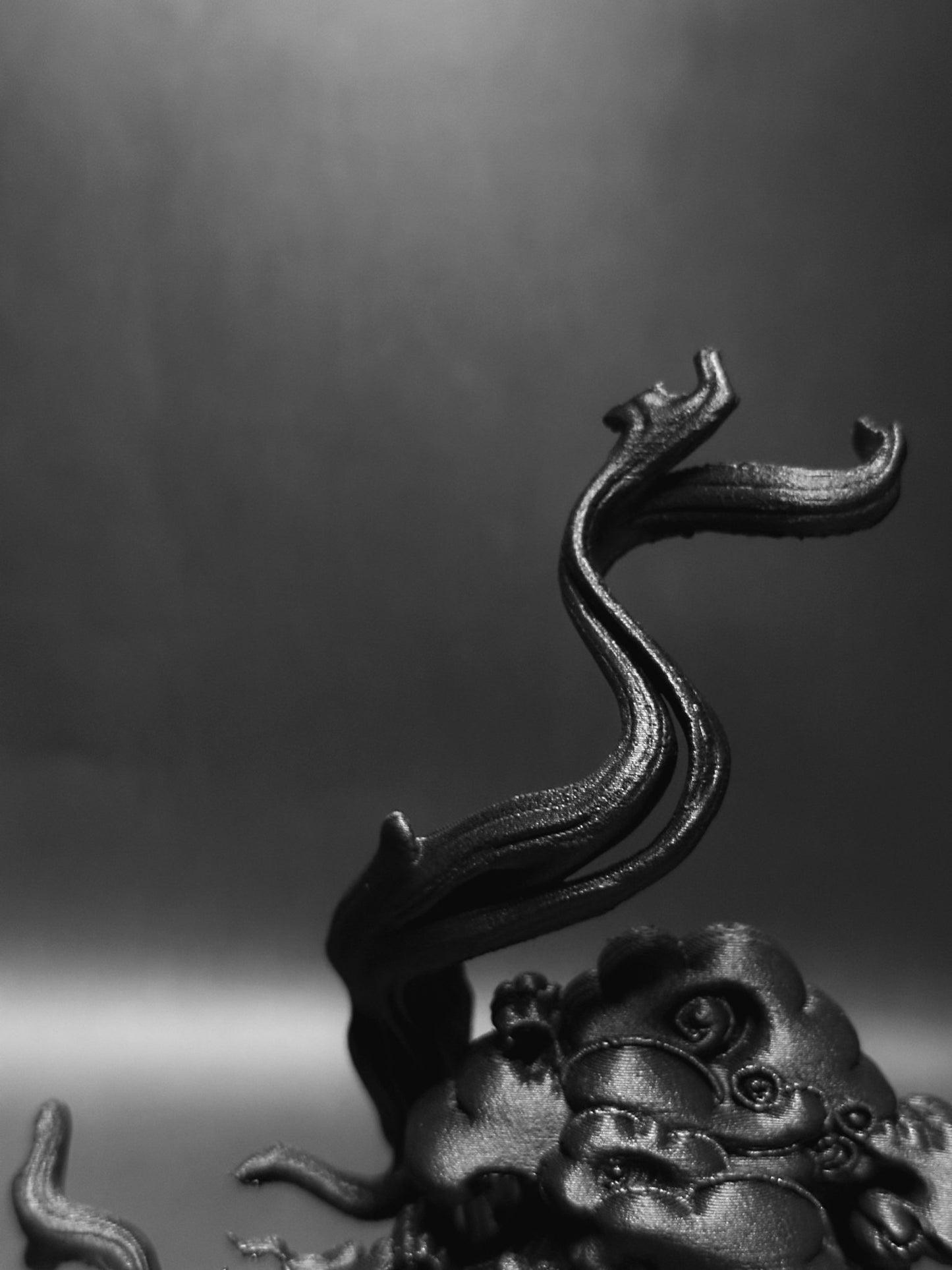 黑·盆系列｜舍利·逆風 - 朽根造｜kyukonzo.co