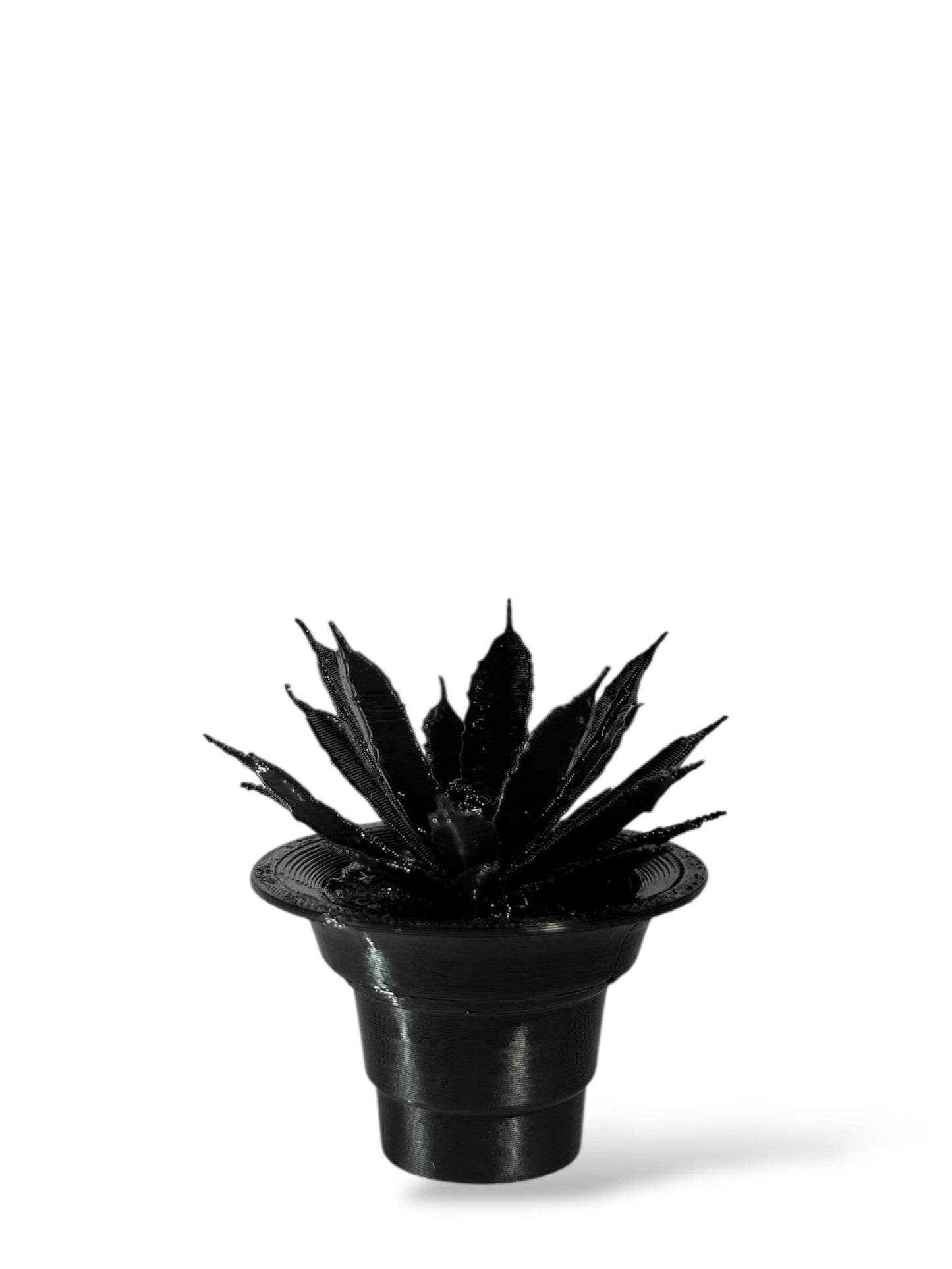 黑·植系列｜靜物單植擺飾 - 朽根造｜kyukonzo.co