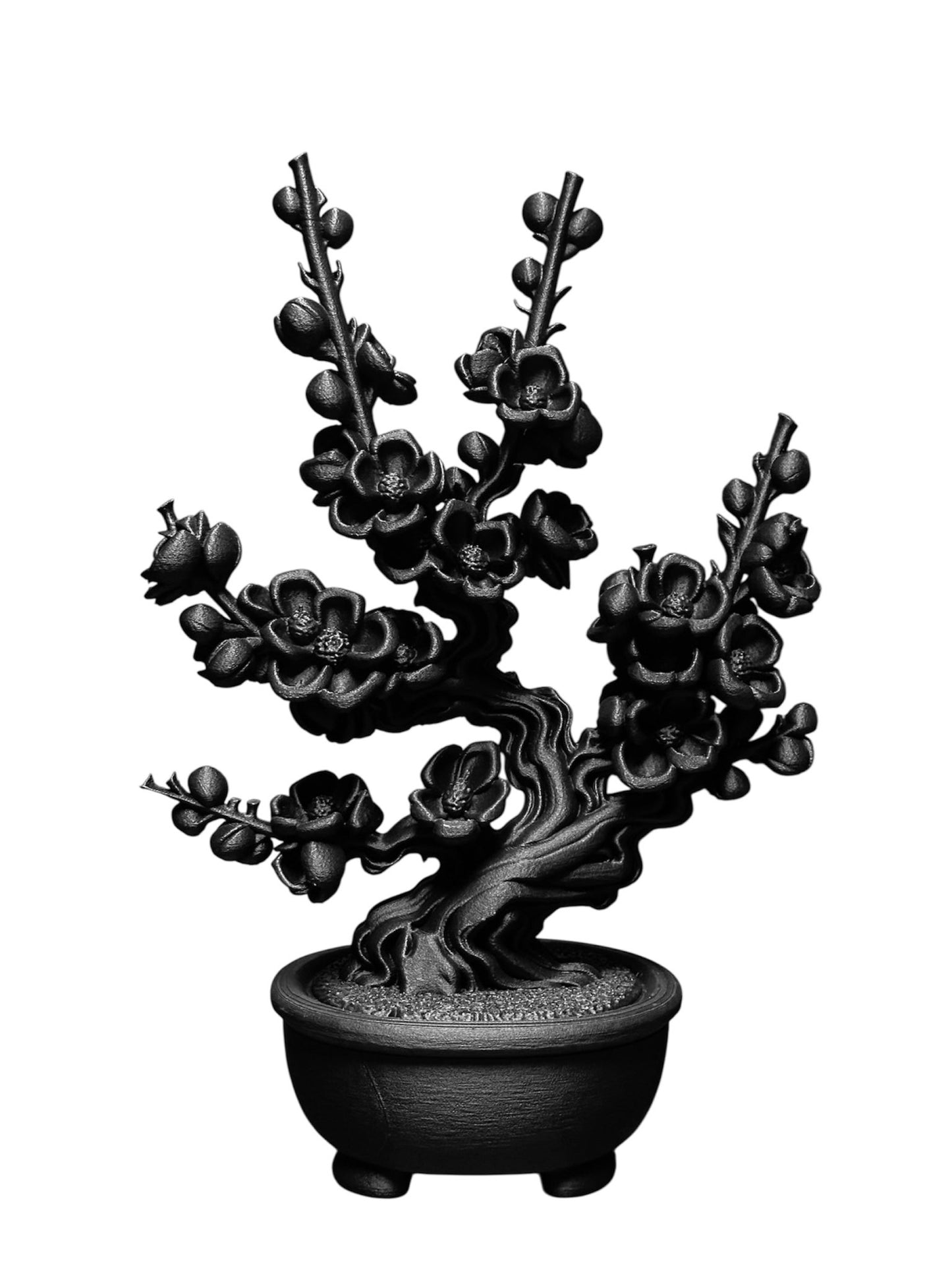 黑·盆系列｜枝·梅 - 朽根造｜kyukonzo.co