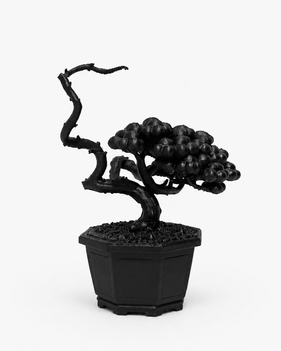 黑．盆系列｜枯．柏 - 朽根造｜kyukonzo.co