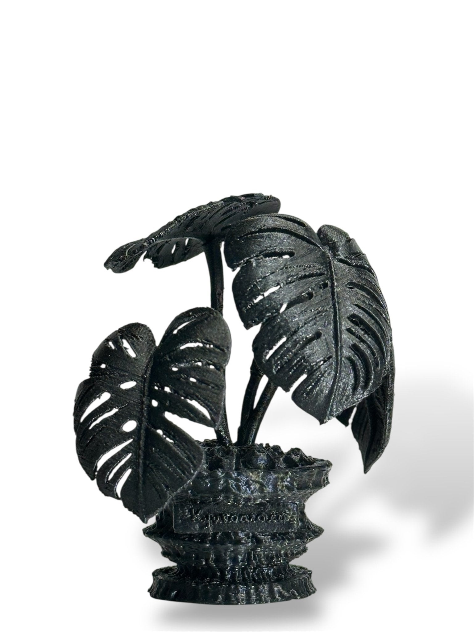 黑·植系列｜龜背芋 - 朽根造｜kyukonzo.co