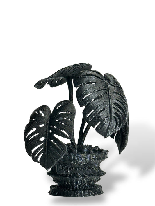 黑·植系列｜龜背芋 - 朽根造｜kyukonzo.co