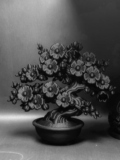 黑·盆系列｜展·梅 - 朽根造｜kyukonzo.co