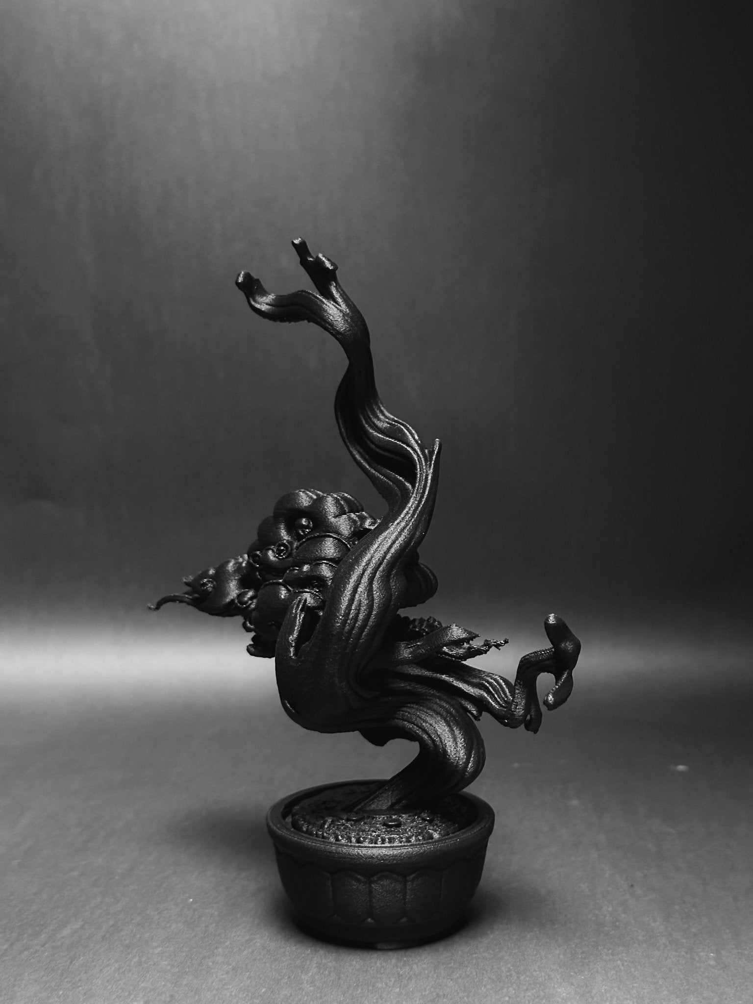 黑·盆系列｜舍利·逆風 - 朽根造｜kyukonzo.co