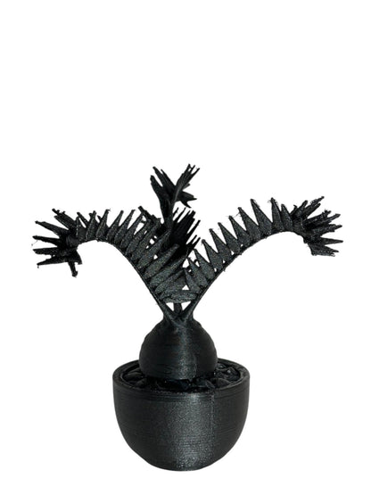 黑·植系列｜非洲霸王蘇鐵 - 朽根造｜kyukonzo.co