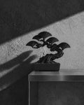 黑．盆系列｜流．嵐 RYURAN - 朽根造｜kyukonzo.co