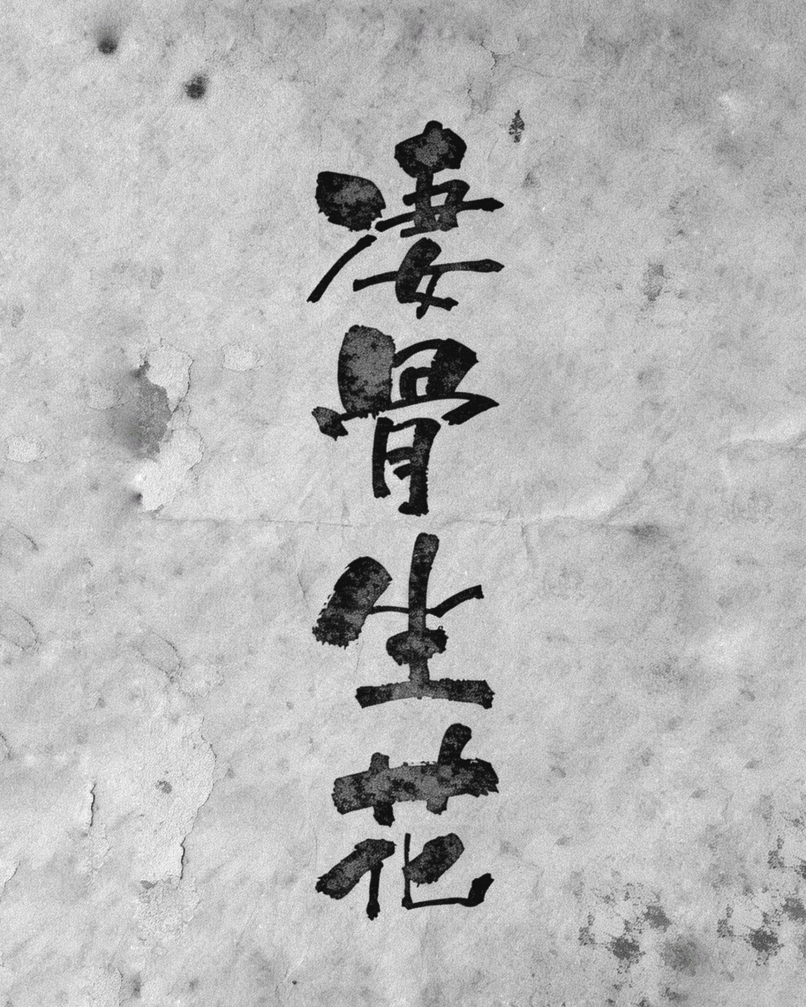 黑·盆系列｜淒骨·生花 Skeleton Flower - 朽根造｜kyukonzo.co