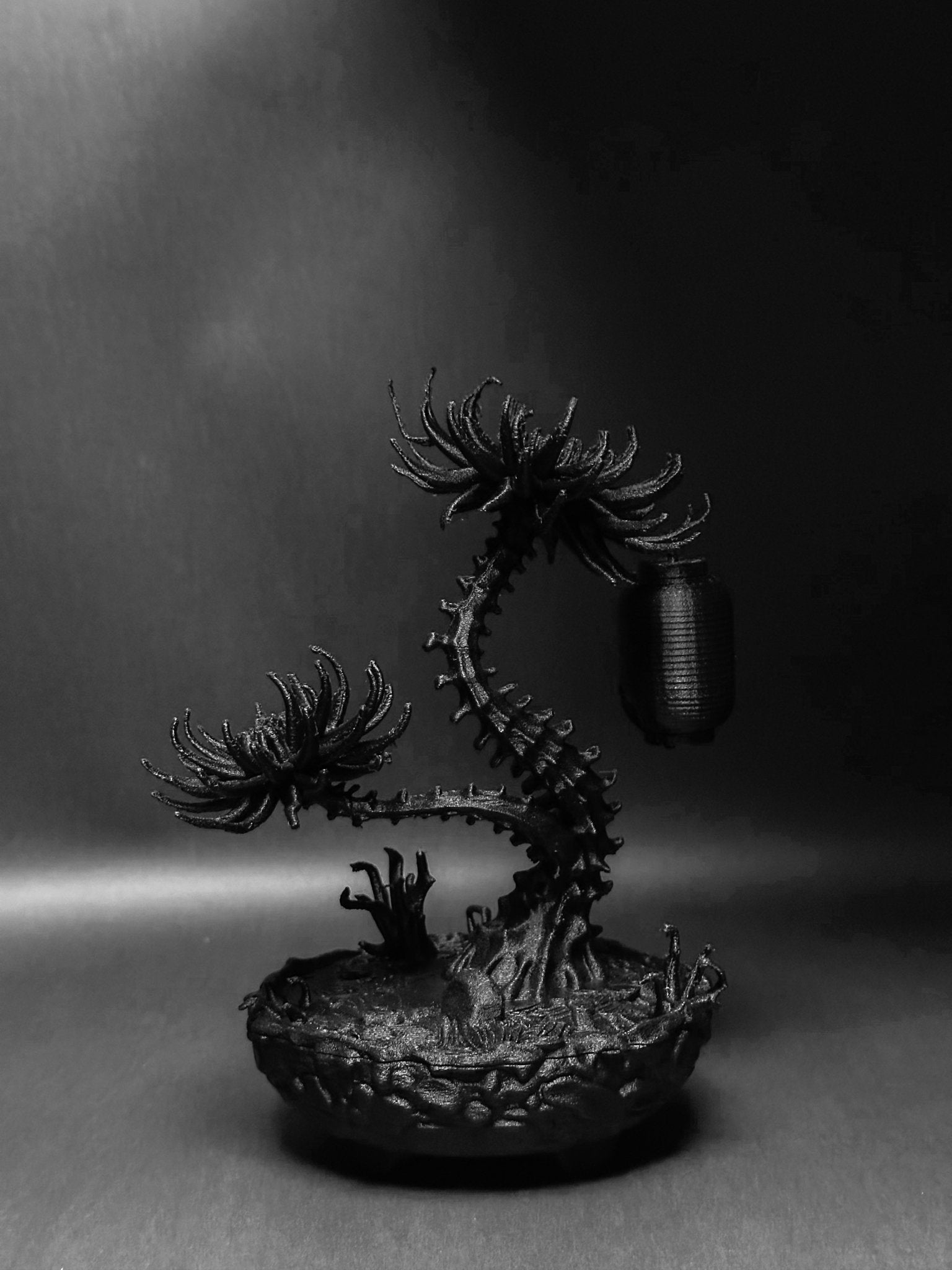 黑·盆系列｜淒骨·生花 Skeleton Flower - 朽根造｜kyukonzo.co