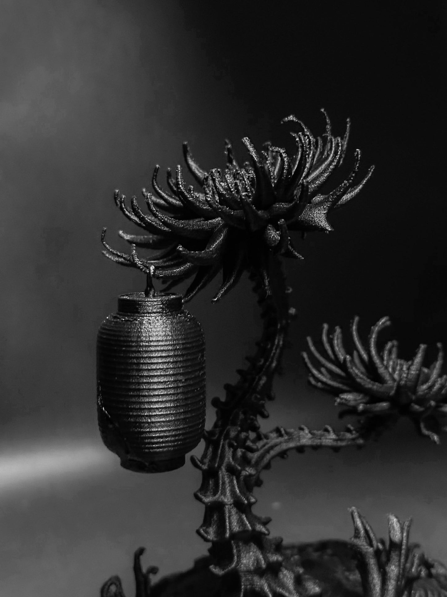 黑·盆系列｜淒骨·生花 Skeleton Flower - 朽根造｜kyukonzo.co