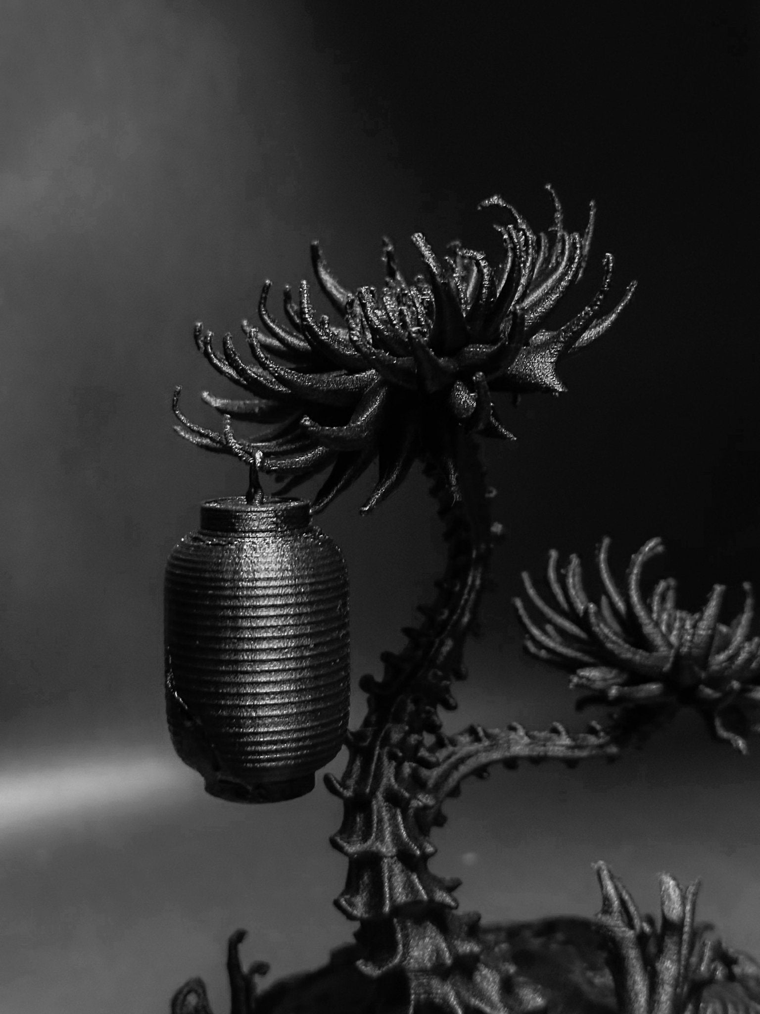 黑·盆系列｜淒骨·生花 Skeleton Flower - 朽根造｜kyukonzo.co